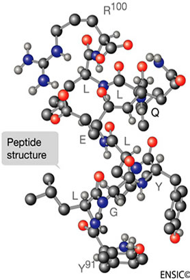 peptide-structure